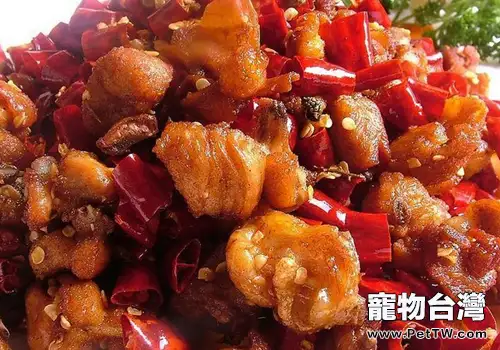 碰到狗狗的生理期我們該怎們辦
