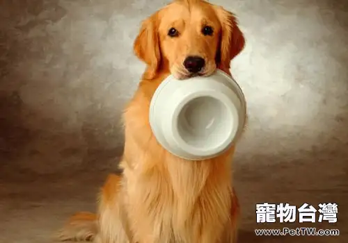 如何訓練狗狗好好用餐