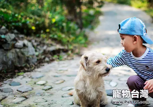 路遇狗狗要注意哪些問題