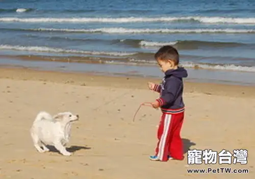 路遇狗狗要注意哪些問題
