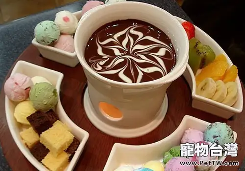 哪些食物需要謹慎給狗狗餵食