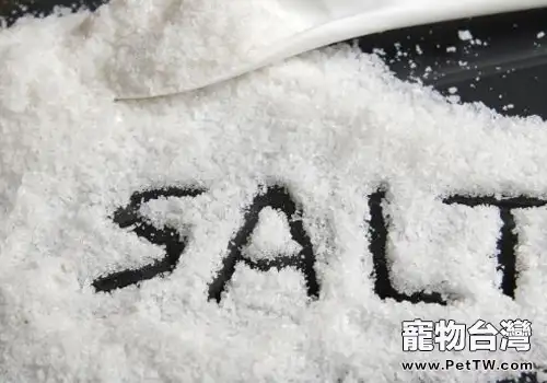 哪些食物需要謹慎給狗狗餵食