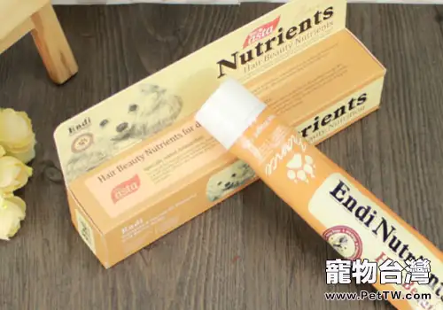 如何為幼犬打好基礎