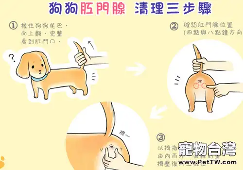 狗狗的基礎護理有哪些