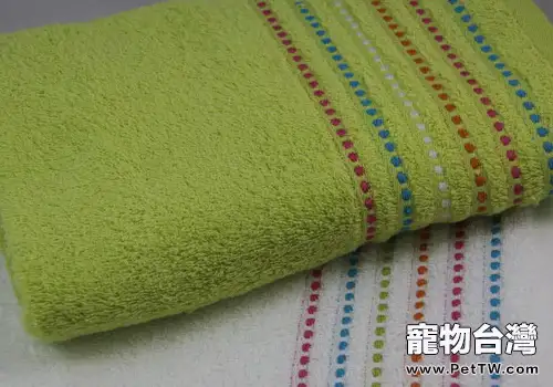 狗狗在家洗澡與外出洗澡要注意什麼
