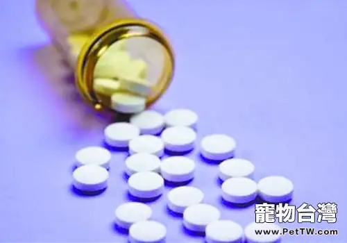 狗狗發燒怎麼辦