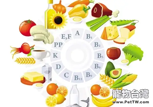 對狗狗被毛有益及有害的一些做法（共2張圖片）-寵物台灣