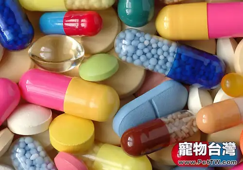 抗生素藥物要慎用(共2張圖片)-寵物台灣