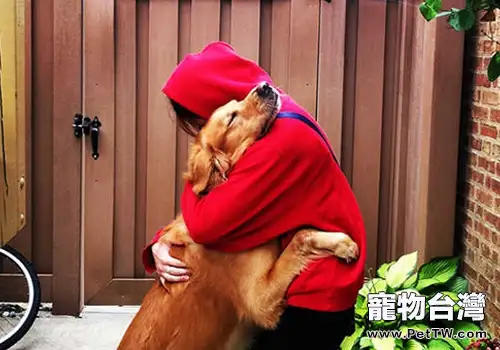 養狗如何約束好自身(共2張圖片)-寵物台灣