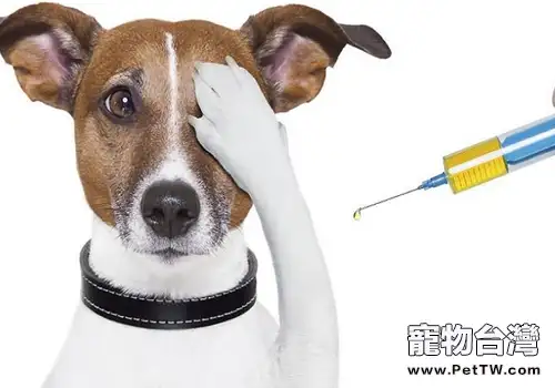 犬疫苗的相關知識