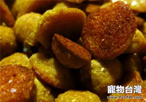 【美食攻略】自製狗狗鬆脆小餅乾