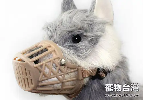 嘴套對於狗狗的重要性