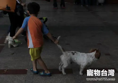 養狗如何避免孩子被咬