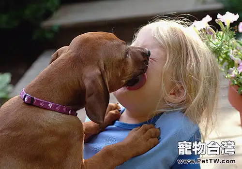狗狗為什麼喜歡舔人臉