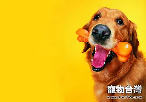 犬麻醉方法有幾種(共2張圖片)-寵物台灣