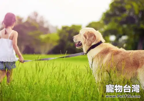犬體外驅蟲藥怎麼選(共2張圖片)-寵物台灣