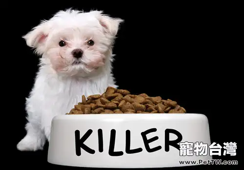 幼犬不吃狗糧怎麼辦1(1圖)-寵物台灣