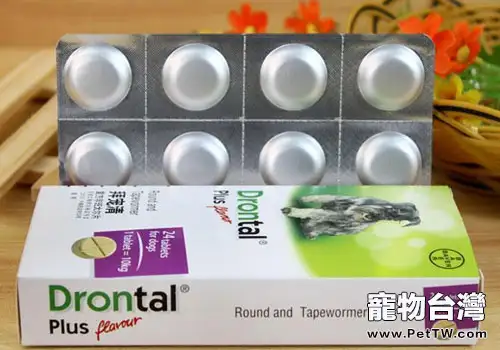 拜寵清購買時要注意什麼?(1圖)-寵物台灣