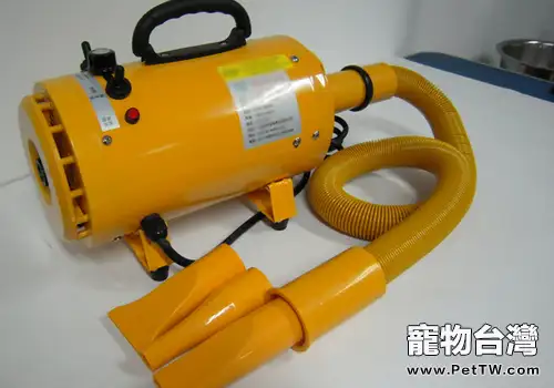 寵物吹水機怎麼選