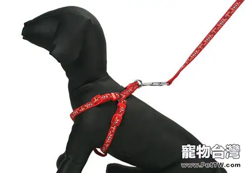 使用狗狗牽引繩的一些建議(1圖)-寵物台灣