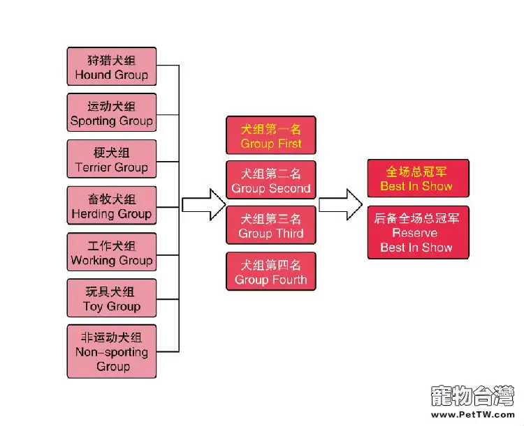 一篇成為繁殖者必學知識帖(1圖)-寵物台灣