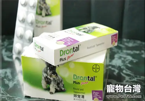 狗狗吃了驅蟲藥後的三種常見反應