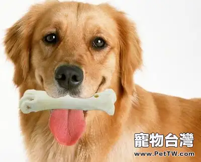 狗狗磨牙棒可以選擇哪些