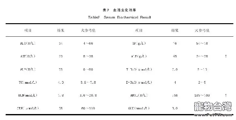 薩摩耶胃內異物的診斷與治療