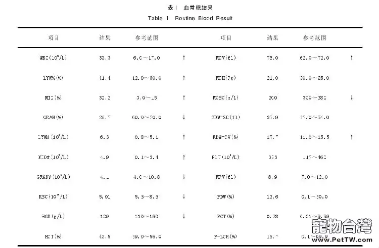 薩摩耶胃內異物的診斷與治療