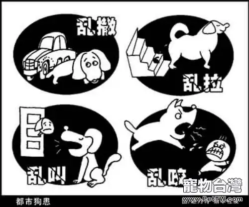 細數那些不文明養狗行為(1圖)-寵物台灣