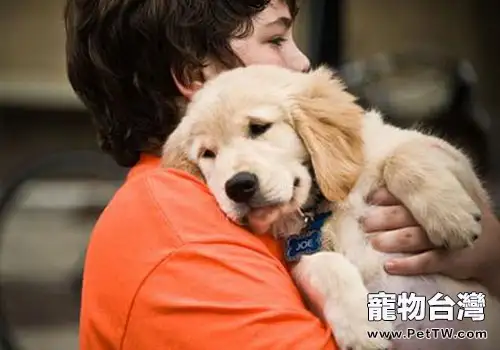 養寵有益孩子健康成長?(1圖)-寵物台灣