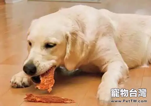 狗糧怎麼選，挑選狗糧要注意什麼？（1圖）-寵物台灣