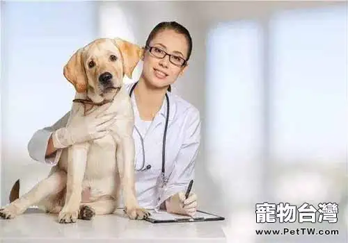 狗狗尿頻的原因是什麼？