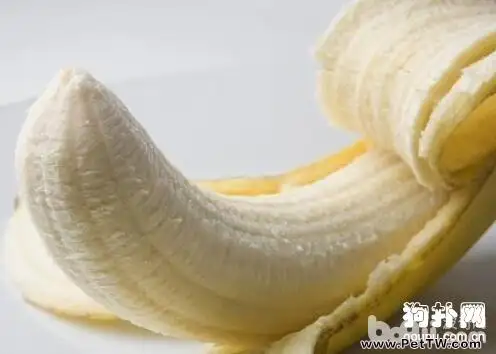 狗狗吃香蕉，狗狗可不可以吃香蕉？