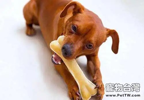 狗狗吃骨頭被卡住，狗狗吃骨頭被卡住應該如何處理
