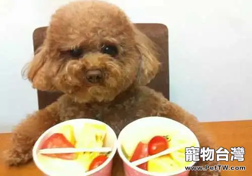 四種可以給狗狗吃的人類食物,可以給狗狗吃的人類食物(1圖)-寵物台灣