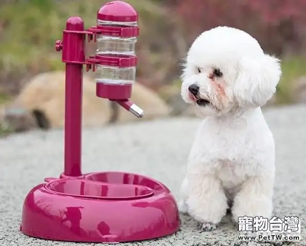 養狗必知  狗狗身體不可缺少的重要成分（共2張圖片）-寵物台灣