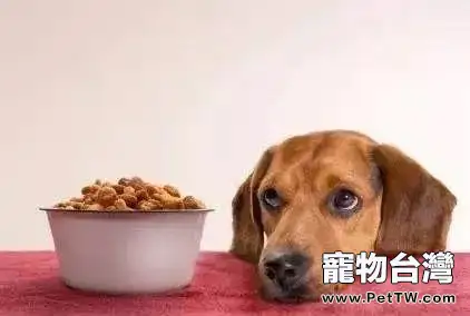 狗狗玻璃胃的原因有哪些？狗狗玻璃胃怎麼治療？