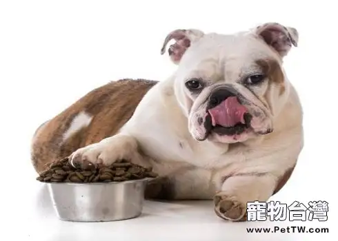 狗狗放屁 狗狗放屁臭正常嗎