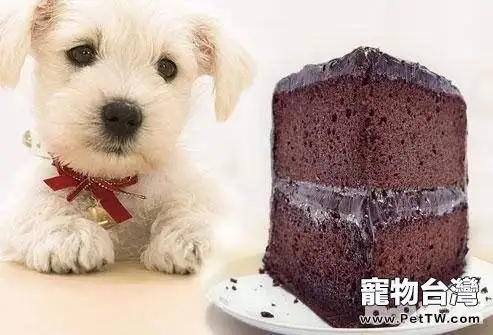 不能給狗狗吃的食物都有哪些？