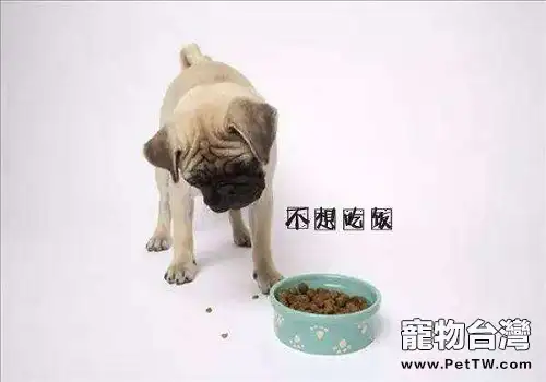 狗狗不吃飯的原因以及解決辦法