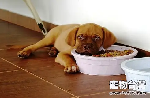 timg (8).webp timg (8).webp