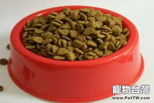 狗狗護食怎麼辦？