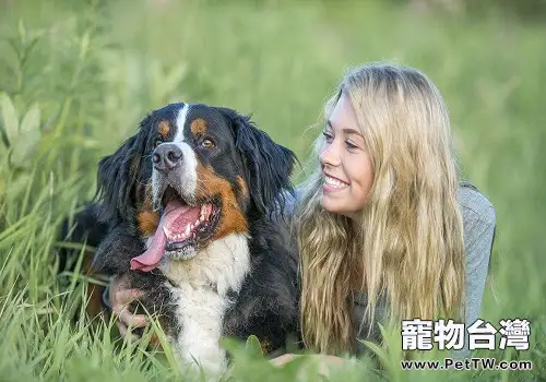 合格的寵物主應該具備哪些條件？