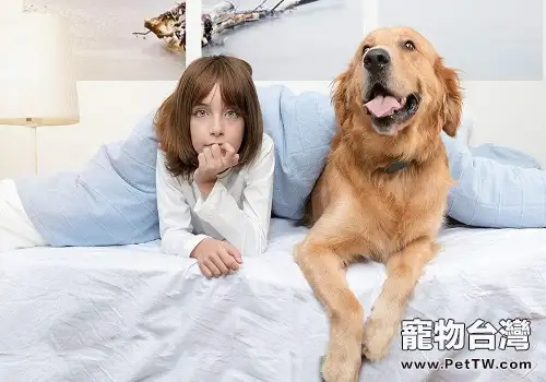 合格的寵物主應該具備哪些條件？