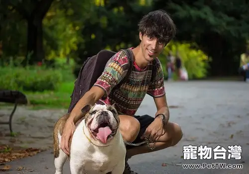 合格的寵物主應該具備哪些條件？