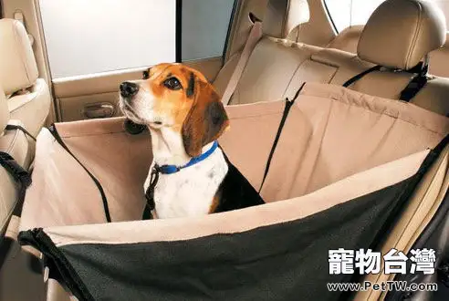 訓練狗狗不暈車的方法