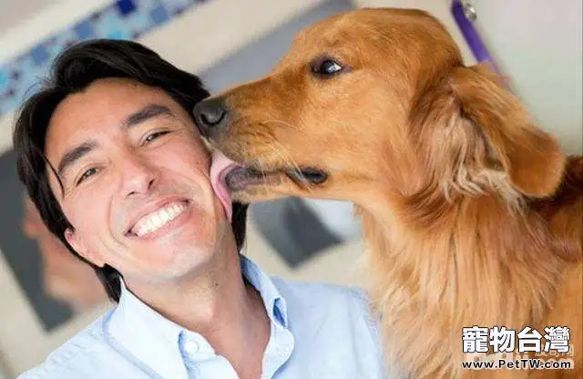 狗狗為什麼喜歡舔人？狗狗舔人的原因有哪些
