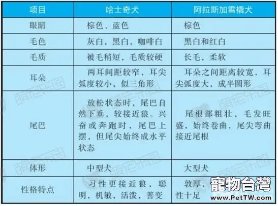 哈士奇犬與阿拉斯加雪橇犬有什麼區別？