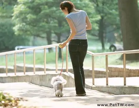 小區遛狗你應該注意哪些問題
